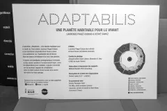 2022-06-24-Adaptabilis-00505